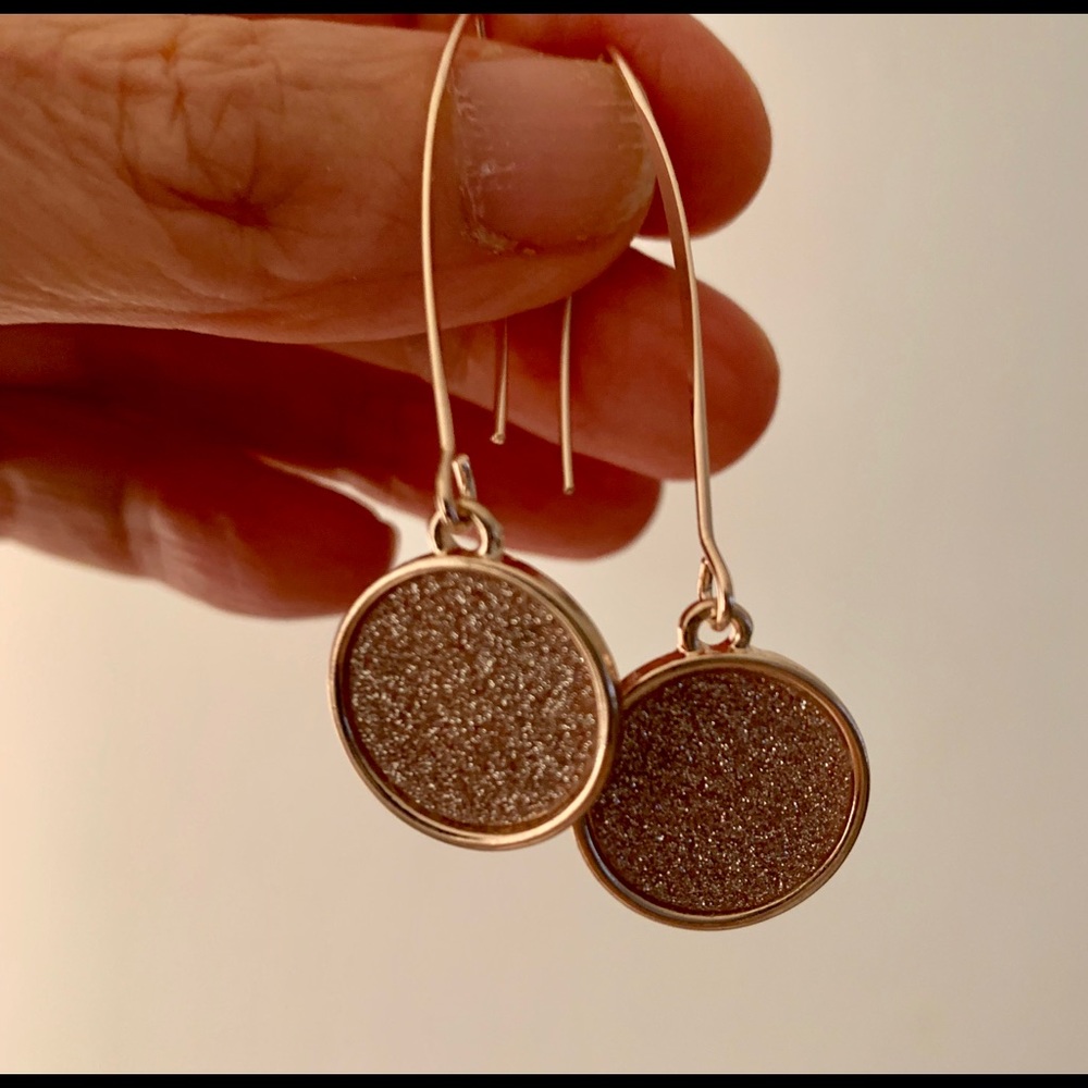 Rose Gold Drop Earrings NWT